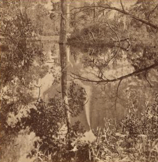 Mirror view. Yosemite Valley, Mariposa County, Cal. 1861-1878? 1880-1890