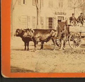View in Biddeford, Maine. 1870?-1890?