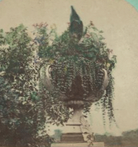 Vase of flowers at Bow Bridge. [1860?-1900?]