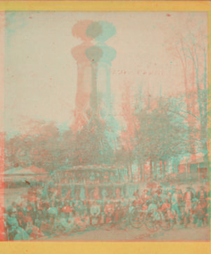 Fruit column in Joneswood. German Thanksgiving Festival. 1859-1899 [ca. 1865]