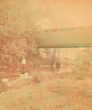 The Wissahickon at Allens Lane. 1865?-1880?