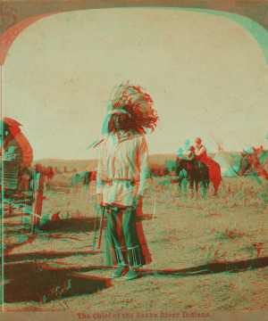 The Chief of the Snake River Indians. 1865?-1902 [ca. 1895-ca.1905]