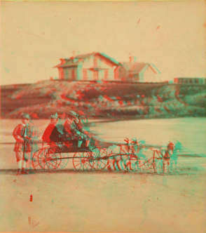 [Children in goat cart on beach.] 1860?-1869?