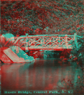 Rustic Bridge, Central Park, N.Y. [1860?-1900?]