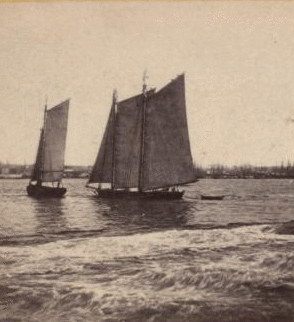 View from foot of Whitehall street, looking towards south Brooklyn. The agitation of water in the foreground is occasioned ny a steamboat just passed. 1859?-1875? [ca. 1860]