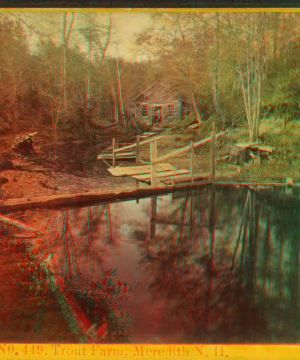 Trout Farm, Meridith, N.H. 1869?-1880?