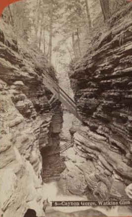 Caynon gorge, Watkins Glen. [1865?-1905?]