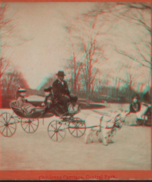 Children's carriage, Central Park. [1860?-1905?]