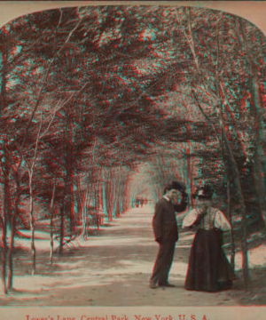 Lovers' Lane, Central Park, New York, U.S.A. c1896 [1859?-1895?]