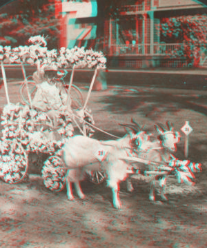 A Fairy Turnout, Floral Parade, Saratoga, N.Y. [1858?-1905?]