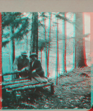 [Couple posing on a log bench.] 1915-1919 [1918]