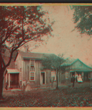 [View of two homes, couples standing out front.] [1860?-1910?]