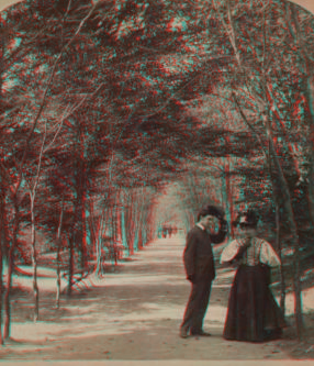 Lovers' Lane, Central Park, New York, U.S.A. c1896 [1859?-1895?]