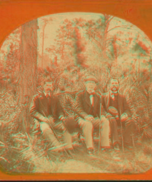 [Three gentlemen pose on rustic bench, each holding a walking stick.] [ca. 1880] 1870?-1890?