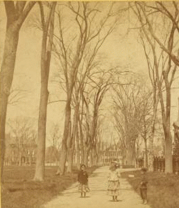 Salem Common. 1859?-1885?