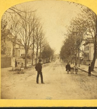 [Residential street with people standing in and on the side of it.] 1870?-1915?