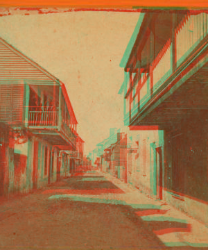 Charlotte St., St. Augustine, Fla. 1868?-1895?