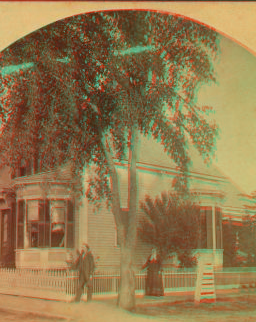 [View of a man and woman standing in a street corner, Nashua.] [1879-1894] 1865?-1885?