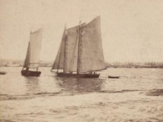 View from foot of Whitehall street, looking towards south Brooklyn. The agitation of water in the foreground is occasioned ny a steamboat just passed. 1859?-1875? [ca. 1860]