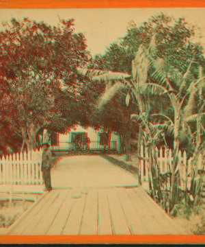 Entrance to Col. Hart's Grove opposite Palatka, Florida. 1870?-1890?