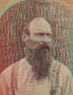 [Portrait of a beared man.] [1860?-1880?]