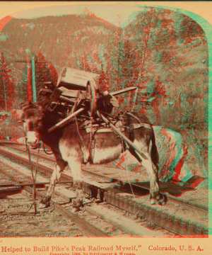 "I helped to build Pike's Peak railroad myself," Colorado, U.S.A. 1865?-1905? c1894