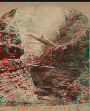 Shadow gorge, Watkins Glen, N.Y. [1865?-1905?]