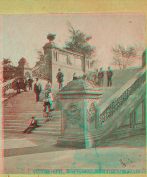 Grand staircase, Central Park. 1860?-1890?