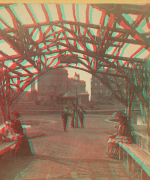 Grape arbor, Public Garden