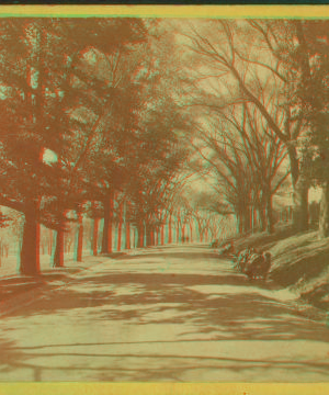 Beacon St. Mall, Boston Common. 1860?-1890?