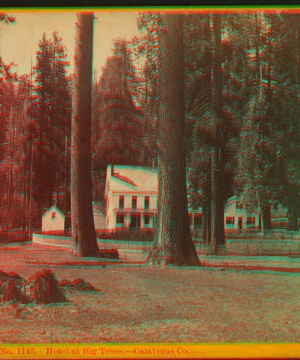 Hotel at Big Trees, - Calaveras Co. ca. 1870 1870