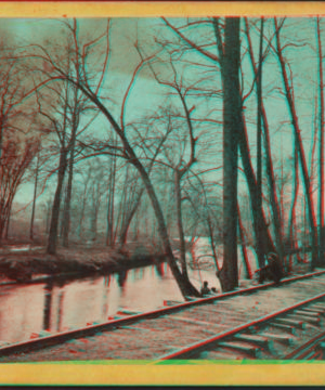 On the Bronx River at Williams Bridge. [1865?-1870?]