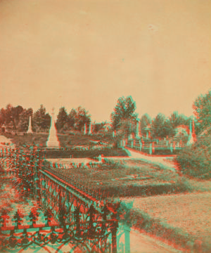 View in Oakland Cemetery, Atlanta. 1870?-1900? [ca. 1880]