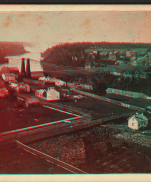 The Suspension Bridge and Falls, from the Monteagle House. [1860?-1875?]