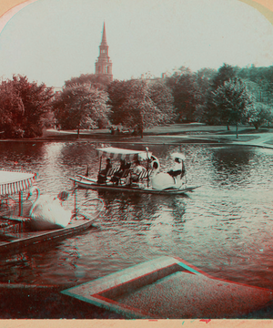 On the lake in Boston Public Garden