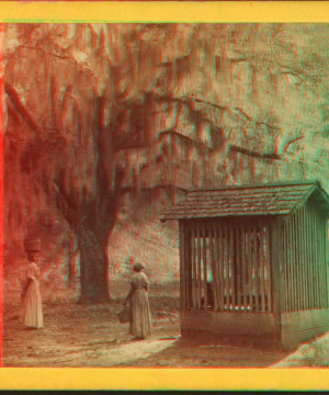 Coming from the well, Wormsloe, the DeRenne Plantation, Isle of Hope. 1867?-1905? [187-]