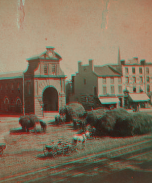 View of Centre Market, Newark, N.J. [ca. 1870] [1875?-1890?]