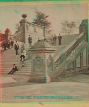 Grand staircase, Central Park. 1860?-1890?