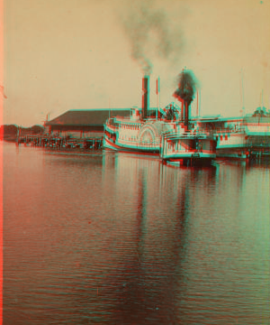 Landing of Steamers, Tampa City, Fla. 1870?-1890?