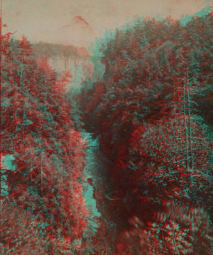 View from the Hog's Back, Upper Taughannock Ravine, top of the main fall in the foreground, Cayuga Lake in the distance. [1865?1880?]