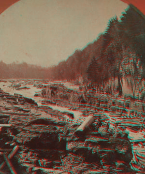 Gilboa Falls and Gorge, near Gilboa, N.Y. [1860?-1910?]