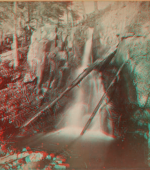 De La Vergne's Glen : [Karn Malk Falls?] [1870?-1880?]