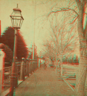 Street in front of the Officer's Residences, Mare Island. ca. 1875 1870?-1880?