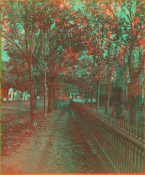 [Tree lined walkway along an iron fence, Girard, Pennsylvania.] 1870?-1880?