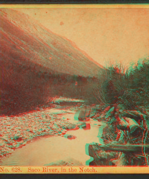 Saco River in the Notch. 1863?-1885? [1864]