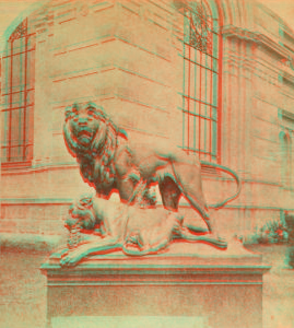 [Sculpture "The dying lioness.".] 1876