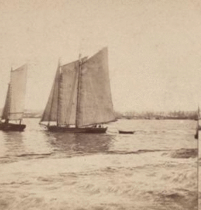 View from foot of Whitehall street, looking towards south Brooklyn. The agitation of water in the foreground is occasioned ny a steamboat just passed. 1859?-1875? [ca. 1860]