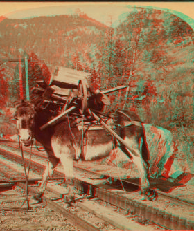 "I helped to build Pike's Peak railroad myself," Colorado, U.S.A. 1865?-1905? c1894