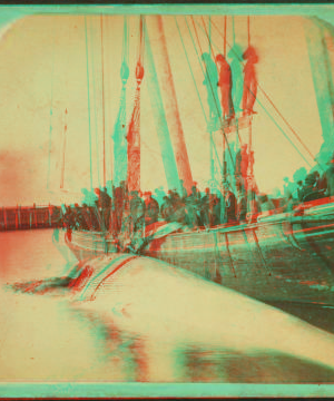 ["Cutting in" the whale at the Commerical wharf.] 1867?-1890?