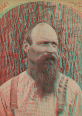 [Portrait of a beared man.] [1860?-1880?]